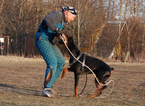 Training in Estonia 30.3 - 1.4. 2007